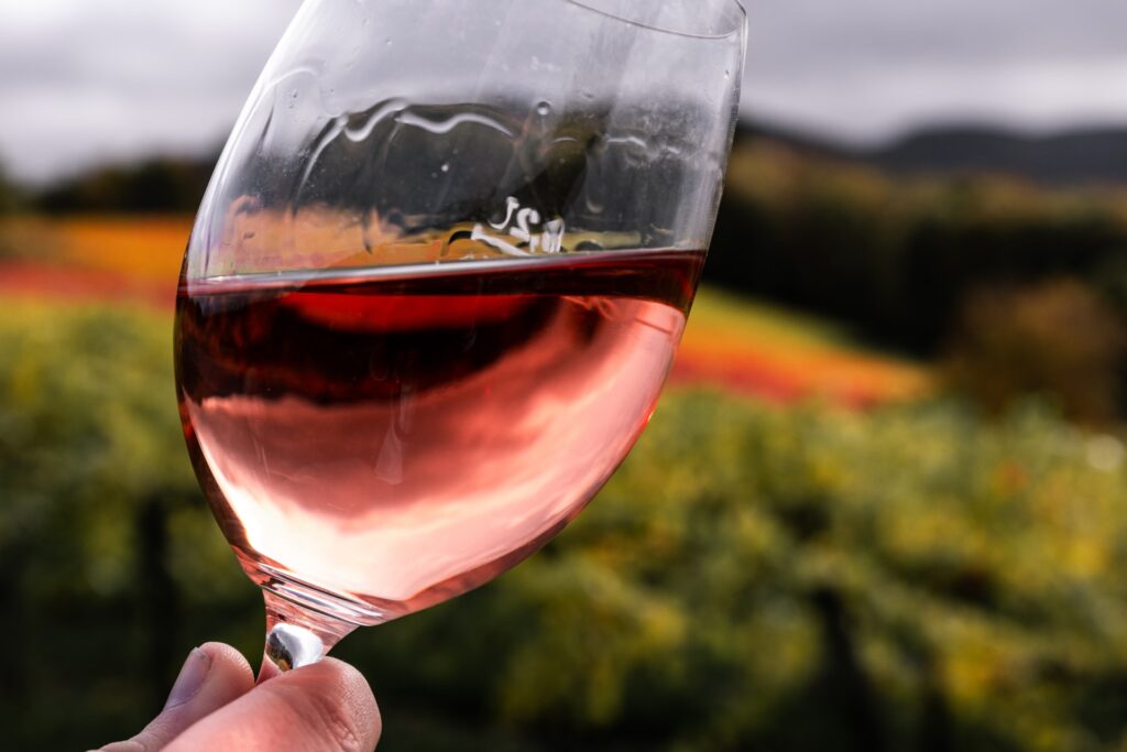 Ais presenta la Guida ai vini di Sicilia 2025: 15 etichette conquistano la "Pigna" 3 Città italiana del Vino 2023 Be Sicily Mag