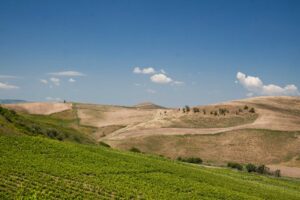 Prende il via il progetto “Natura e… tour dell’Alto Belice”. Natura, archeologia, turismo enogastronomico - Be Sicily Mag - 2