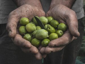 Prende il via il progetto “Natura e… tour dell’Alto Belice”. Natura, archeologia, turismo enogastronomico - Be Sicily Mag - 3