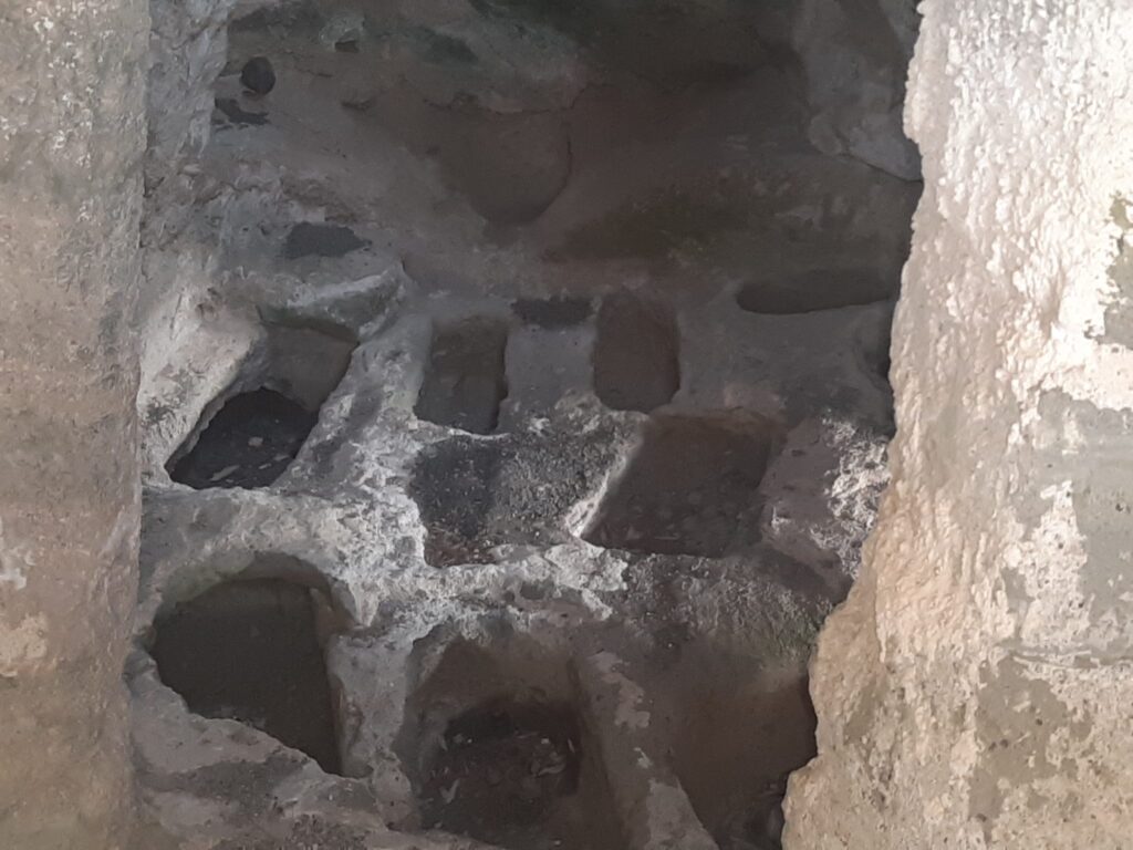 Ustica: sapori, terra e fondali sommersi - Be Sicily Mag - Necropoli romana della Falconiera ph Cooperativa Ciprea Ustica