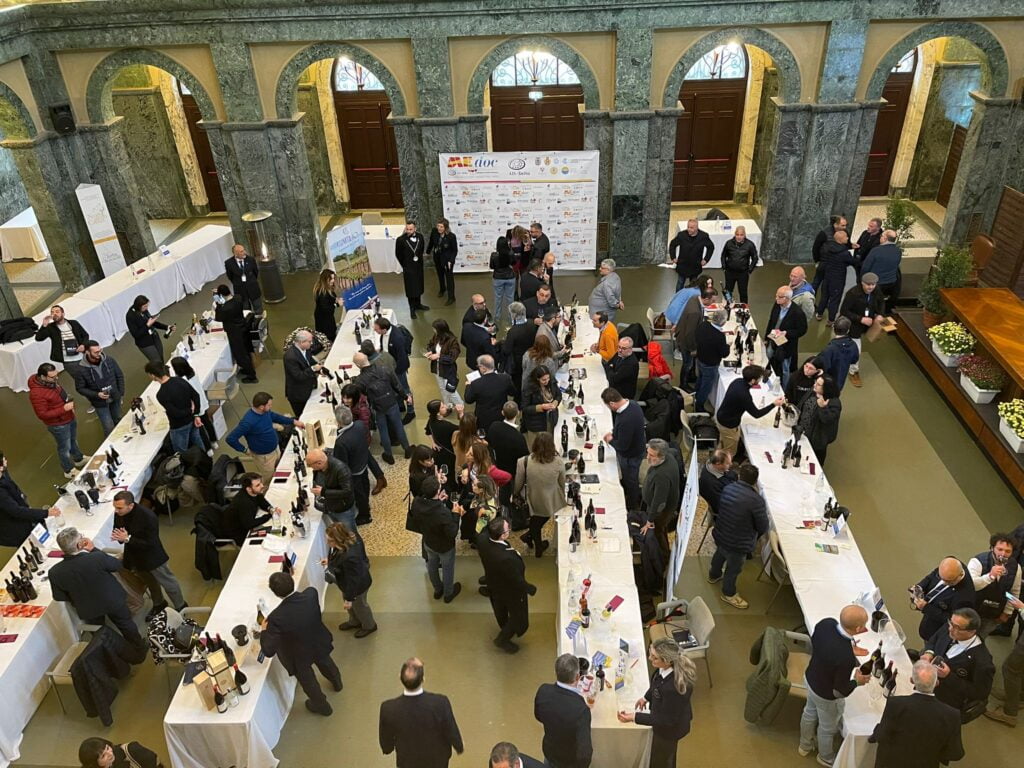 MEdoc, a Messina la celebrazione del vino: Malvasia, Mamertino e Faro le eccellenze 6 MEdoc, a Messina la celebrazione del vino: Malvasia, Mamertino e Faro le eccellenze - Be Sicily Mag - MEdoc Degustazioni alla Camera di Commercio di Messina 7