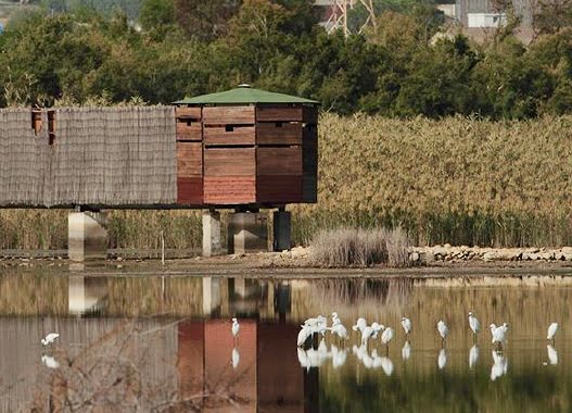 Saline di Priolo, alla scoperta dei fenicotteri in Sicilia: la natura fa i conti con l'inquinamento 2 Saline di Priolo, alla scoperta dei fenicotteri in Sicilia: la natura fa i conti con l'inquinamento - Be Sicily Mag - saline di priolo