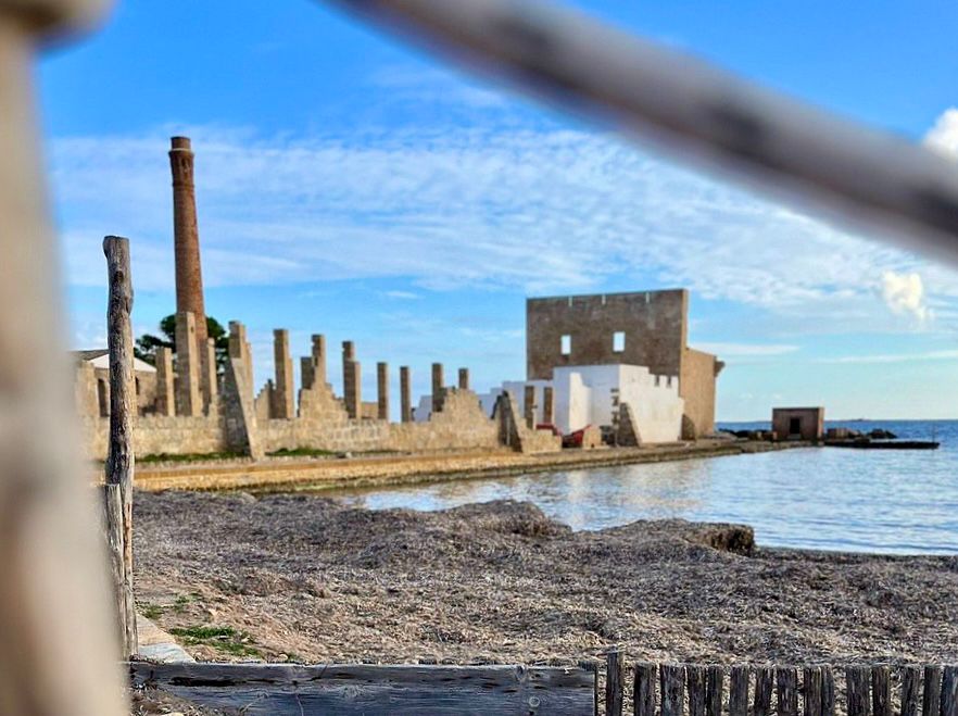Vendicari, la riserva compie 40 anni: esempio di biodiversità da salvaguardare 4 Vendicari, la riserva compie 40 anni: esempio di biodiversità da salvaguardare - Be Sicily Mag - vendicari 2