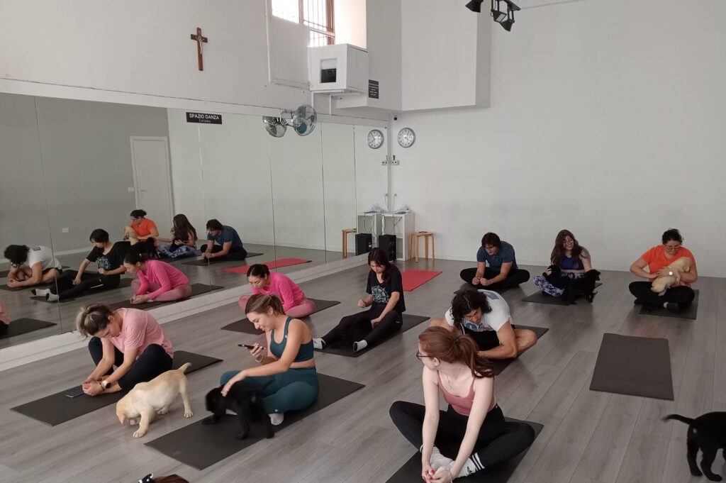 Puppy Yoga arriva a Catania: la lezione coi cuccioli di Labrador allo Spazio Danza è un successo 2 Puppy Yoga arriva a Catania: la lezione coi cuccioli di Labrador allo Spazio Danza è un successo - Be Sicily Mag - puppy yoga 1