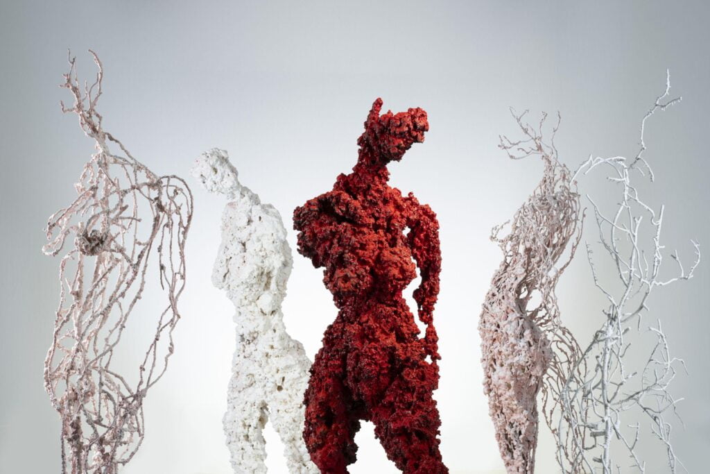 “Rarica”, a Ortigia la mostra sui legami tra l’uomo e la natura di Francesco Diluca 2 carica