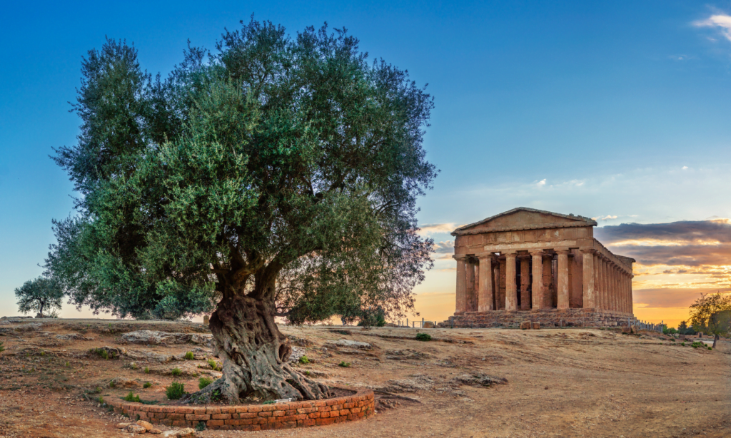 "Notte europea dei musei": i luoghi in Sicilia da visitare a 1 euro il 18 maggio 11 "Notte europea dei musei": i luoghi in Sicilia da visitare a 1 euro il 18 maggio - Be Sicily Mag - 2 2