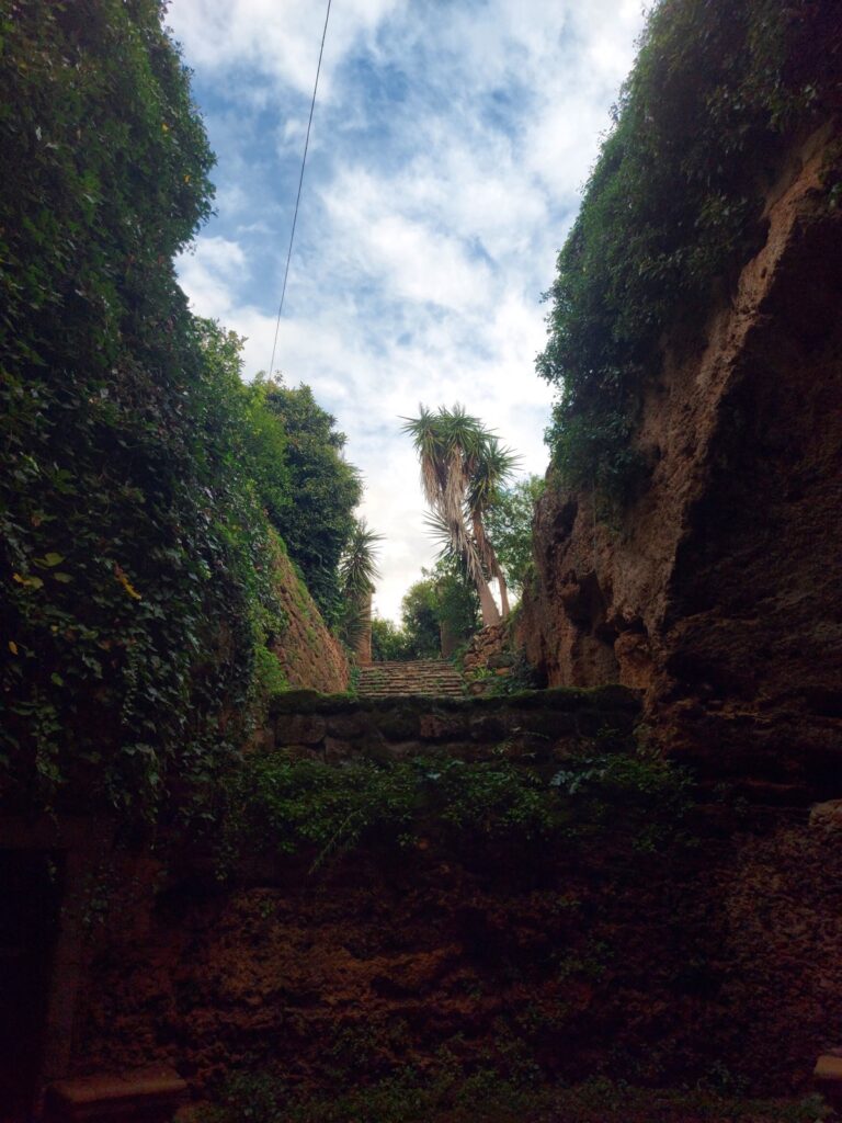 Base scout “Volpe Astuta” a Palermo: la storia del primo bene confiscato alla mafia e affidato a un’associazione 10 Base scout “Volpe Astuta” a Palermo: la storia del primo bene confiscato alla mafia e affidato a un’associazione - Be Sicily Mag - e6fefa13 82c4 4be0 a89a b0d17bb3e340