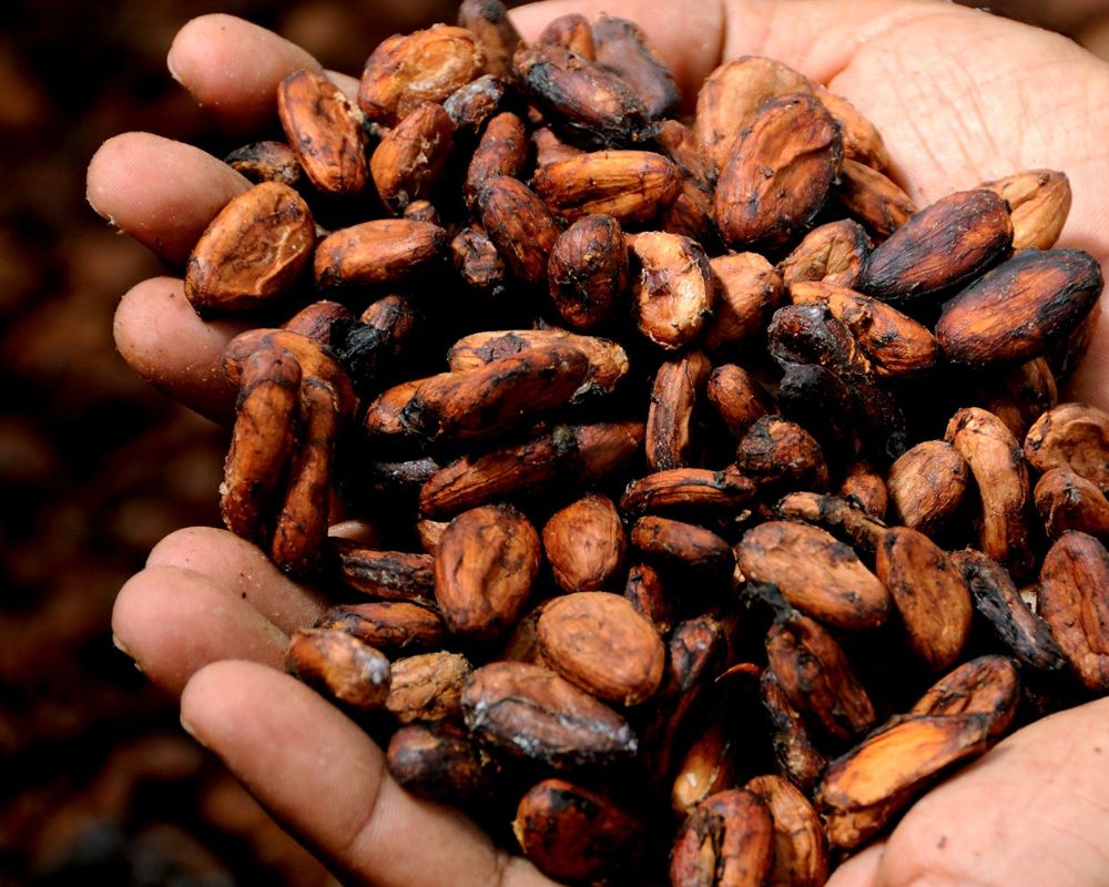 Cioccolato di Modica, caratteristiche e ricetta di una prelibatezza siciliana gustata in tutto il mondo 4 Cioccolato di Modica, caratteristiche e ricetta di una prelibatezza siciliana gustata in tutto il mondo - Be Sicily Mag - 4 2