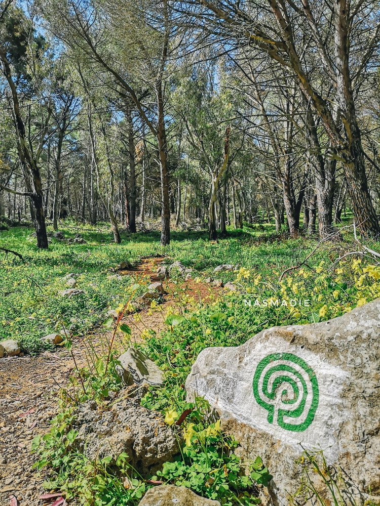 Come arrivare al santuario di Santa Rosalia: i 5 sentieri naturalistici per Monte Pellegrino 9 come arrivare al santuario di Santa Rosalia