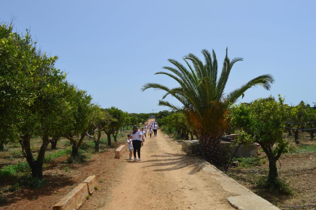 I locandieri, la cooperativa sociale che scommette sul biologico: da Castelvetrano al G7 di Ortigia 5 I locandieri, la cooperativa sociale che scommette sul biologico: da Castelvetrano al G7 di Ortigia - Be Sicily Mag - Bambini in tour al giardino