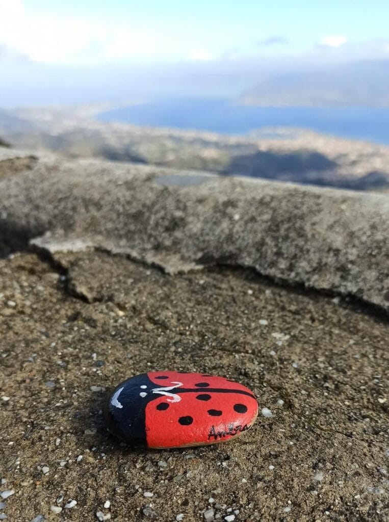 “Un sasso per un sorriso”, l'iniziativa spopola anche in Sicilia: così si porta colore nel cuore degli sconosciuti 3 “Un sasso per un sorriso”, l'iniziativa spopola anche in Sicilia: così si porta colore nel cuore degli sconosciuti - Be Sicily Mag - sasso