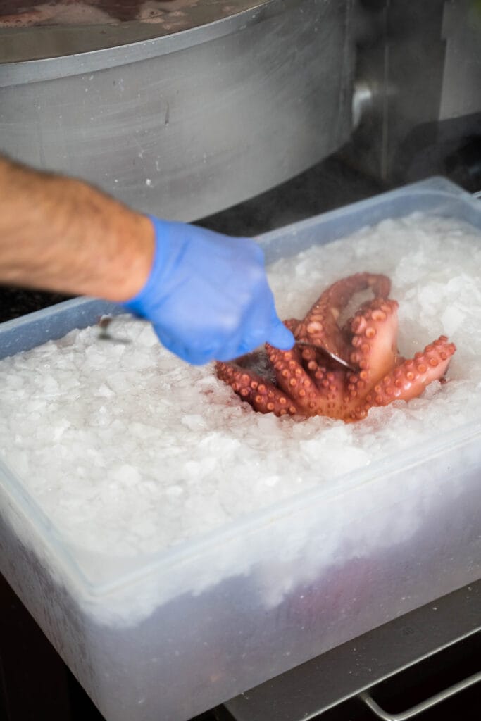 Blu Ocean, innovazione e sostenibilità nella lavorazione del pesce: il futuro è all'insegna della sana alimentazione 4 Blu Ocean, innovazione e sostenibilità nella lavorazione del pesce: il futuro è all'insegna della sana alimentazione - Be Sicily Mag - Polpo 1