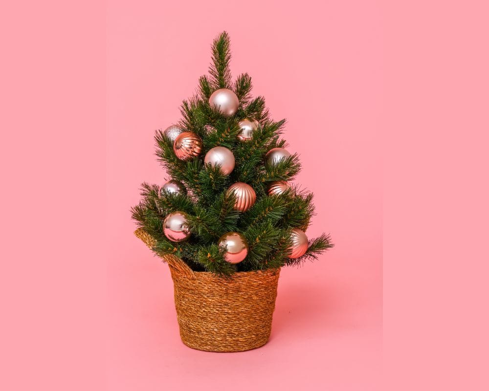 natale sostenibile 