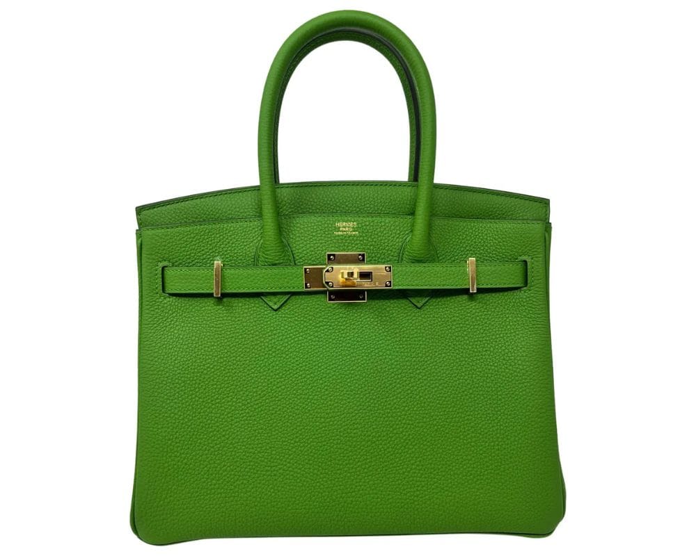 Birkin Hermes: la storia della borsa icona del lusso, il prezzo e come acquistarla 13 Birkin