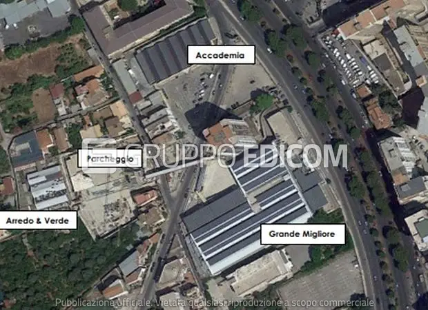 Grande Migliore, lo spazio a Palermo resta chiuso: la gara va deserta, futuro ancora in bilico - Be Sicily Mag - gara grande migliore