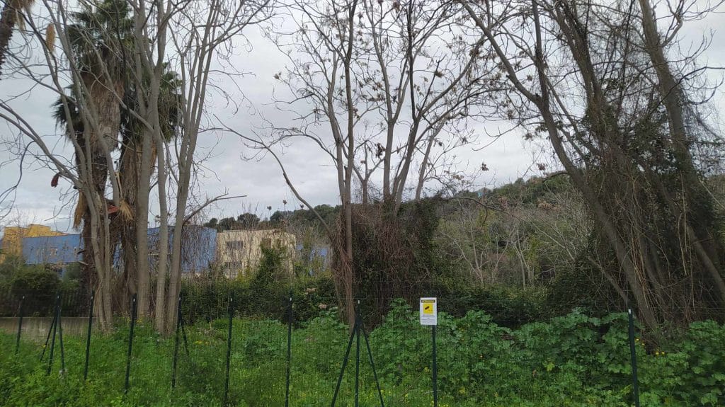 Timpa Leucatia, un'area ricca di flora e fauna all'interno di Catania da valorizzare e preservare 3 Timpa Leucatia