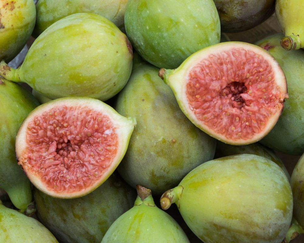 Fichi di Sicilia: tra fioroni d’inizio estate e dolcezze di settembre, un frutto che racconta l’Isola 4 fichi