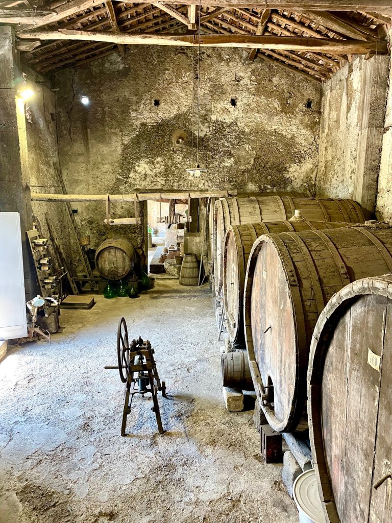 Un Vinobus per scoprire i sapori dell'Etna: al via il tour esperienziale tra dodici aziende vitivinicole - Be Sicily Mag - IMG 8717