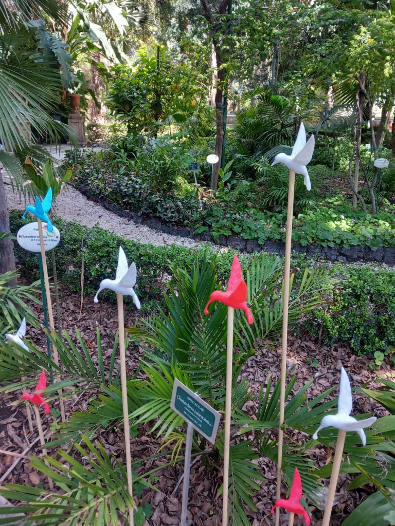 A Catania mille colibrì per cambiare il mondo: la colorata opera di Bob Liuzzo è un invito a “fare la propria parte” - Be Sicily Mag - colibri