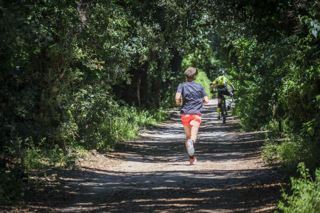 La Favorita sarà il “quartiere verde” di Palermo: la rinascita del parco in tre anni, dalla Via dell’Acqua alla Casina Cinese 4 favorita runner - Be Sicily Mag