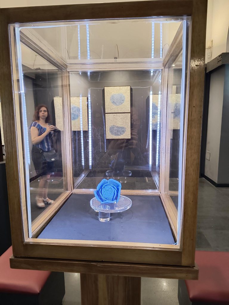ULTRASKY, in mostra il viaggio millenario del blu egizio: da primo pigmento sintetico della storia a risorsa sostenibile 7 ULTRASKY, in mostra il viaggio millenario del blu egizio: da primo pigmento sintetico della storia a risorsa sostenibile - Be Sicily Mag - ULTRASKY 5