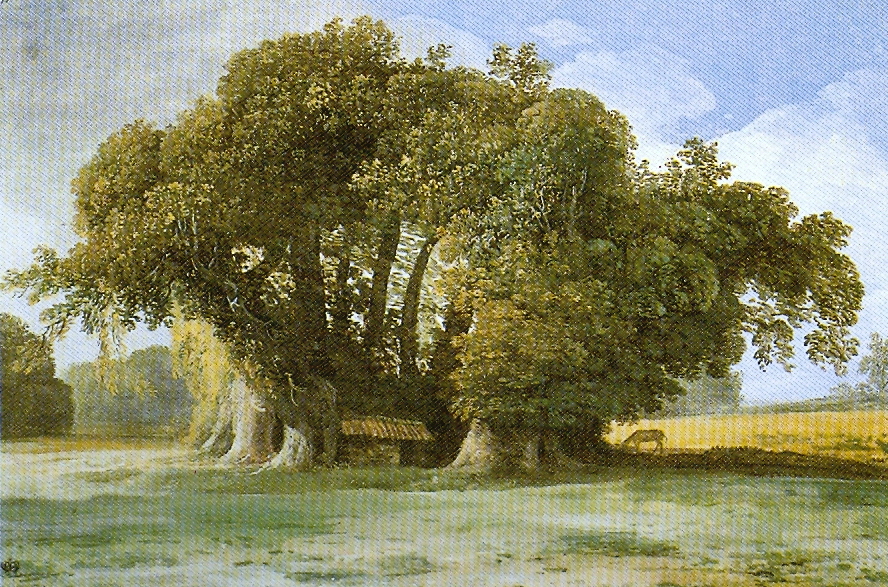 Lo sapevi che l’albero più antico d’Europa è in Sicilia (e racconta una leggenda con cento cavalli)? 2 Lo sapevi che l’albero più antico d’Europa è in Sicilia (e racconta una leggenda con cento cavalli)? - Be Sicily Mag - Castagno dei cento cavalli Jean Pierre Houel
