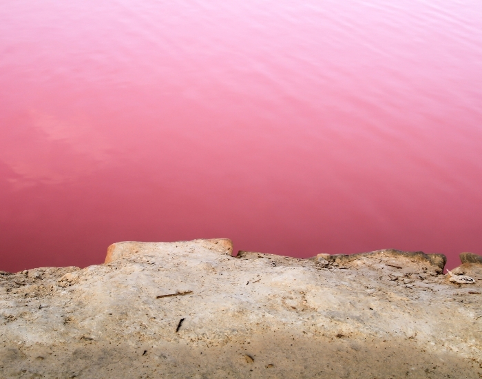Ci sono laghi rosa in Sicilia (e non è Photoshop): ecco perché cambiano colore (e dove si trovano) 5 Ci sono laghi rosa in Sicilia (e non è Photoshop): ecco perché cambiano colore (e dove si trovano) - Be Sicily Mag - mail 2