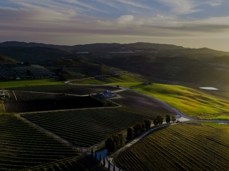 Adènzia Bianco 2024 – Baglio del Cristo di Campobello - Be Sicily Mag - 2 2
