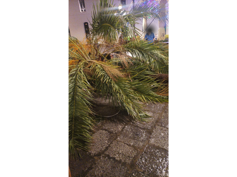 Serata di pioggia e paura: Cefalù colpita dal temporale di agosto - Be Sicily Mag - 4 2