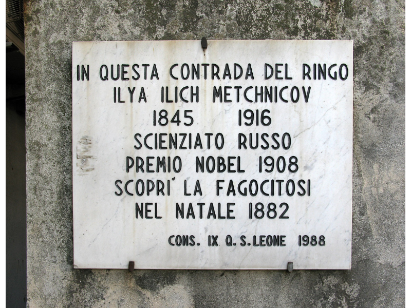 fagocitosi
