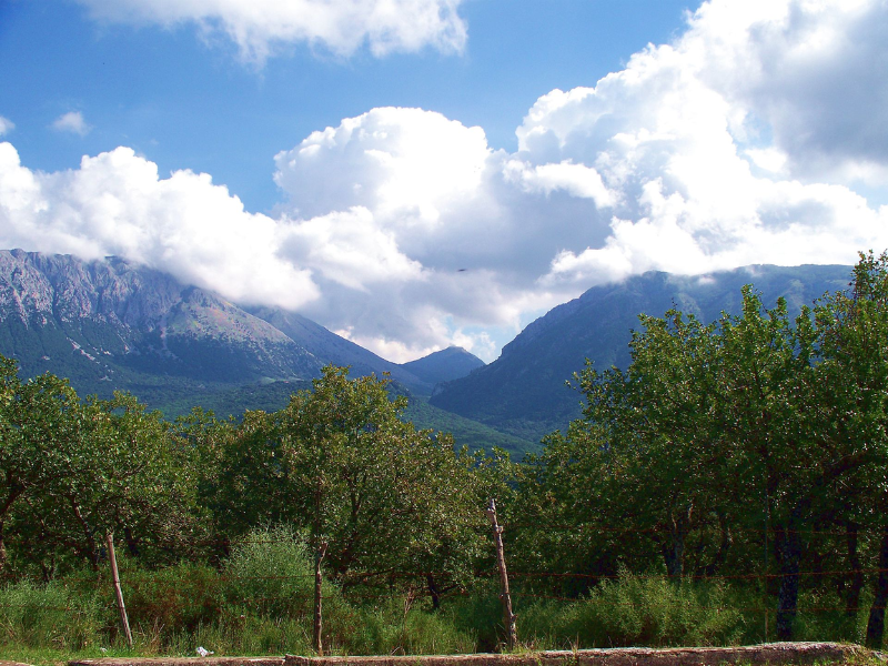 Parco delle Madonie in 3 giorni: natura, borghi e sapori autentici - Be Sicily Mag - Parco delle Madonie Pizzo Carbonara a sinistra Monte Mufara al centro e Monte dei Cervi a destra Di Peppesev