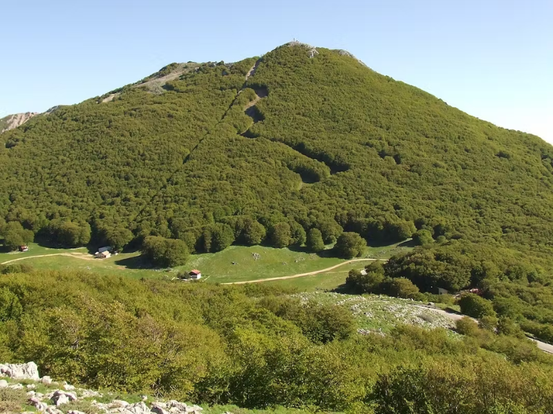 Parco delle Madonie in 3 giorni: natura, borghi e sapori autentici - Be Sicily Mag - Piano Battaglia Credit FAI