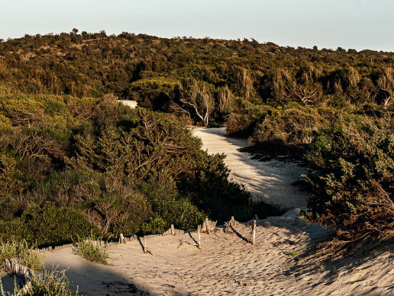 Randello, la spiaggia segreta tra Ragusa e Scoglitti dove regnano silenzio e natura 4 Randello, la spiaggia segreta tra Ragusa e Scoglitti dove regnano silenzio e natura - Be Sicily Mag - 3