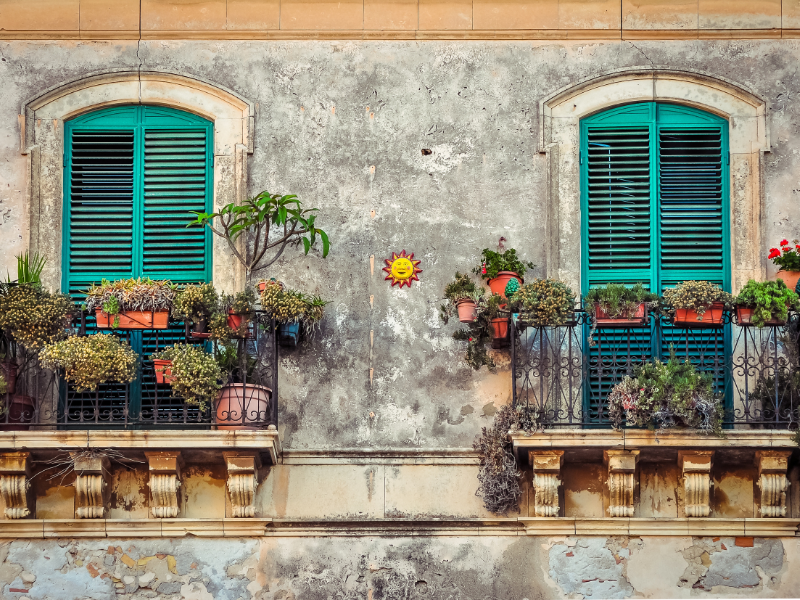 Settembre e piante di casa: il mese giusto per il cambio di stagione verde 14 Settembre e piante di casa: il mese giusto per il cambio di stagione verde - Be Sicily Mag - 5