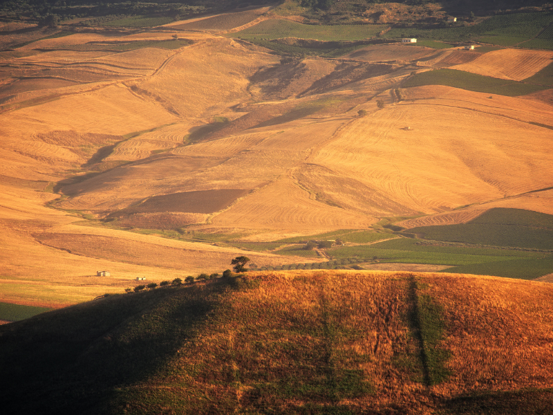Poggioreale, il borgo fantasma che rinasce tra memoria e futuro 10 Poggioreale, il borgo fantasma che rinasce tra memoria e futuro - Be Sicily Mag - 6 4