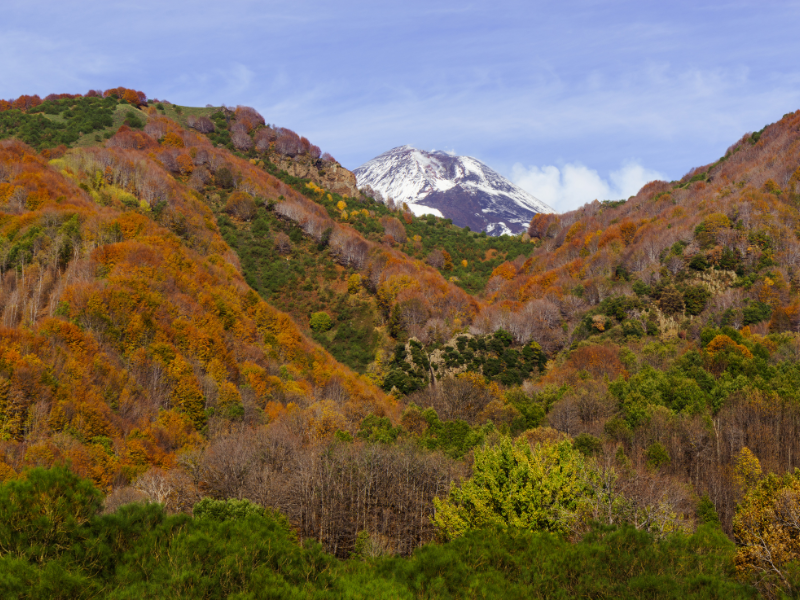 Il foliage in Sicilia: i colori nascosti dell’autunno 22 Il foliage in Sicilia: i colori nascosti dell’autunno - Be Sicily Mag - Etna