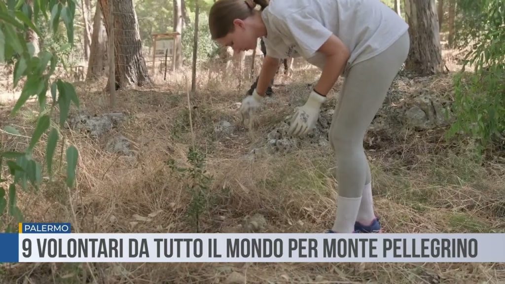 Giovani volontari diventano custodi della Riserva di Monte Pellegrino col progetto VEIL 3 Volontari, Riserva Monte Pellegrino (Fonte: Tele One)