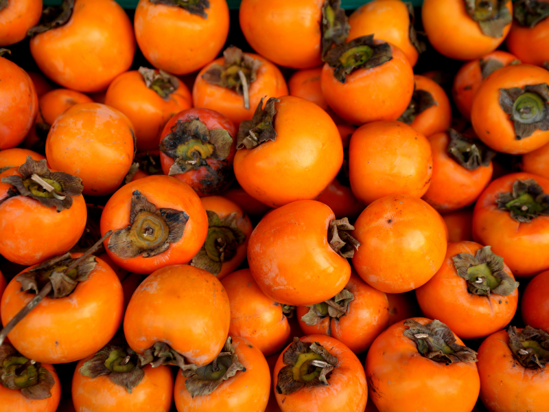 Cachi, i “frutti del sole” che tingono d’arancio l’autunno siciliano - Be Sicily Mag - 2 1