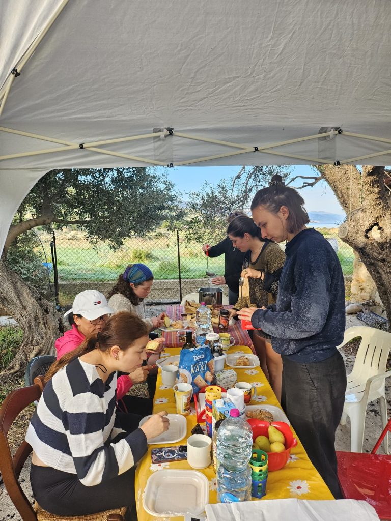 Manca la manodopera, arrivano volontarie da tutto il mondo per la raccolta delle olive 6 Manca la manodopera, arrivano volontarie da tutto il mondo per la raccolta delle olive - Be Sicily Mag - raccolta olive