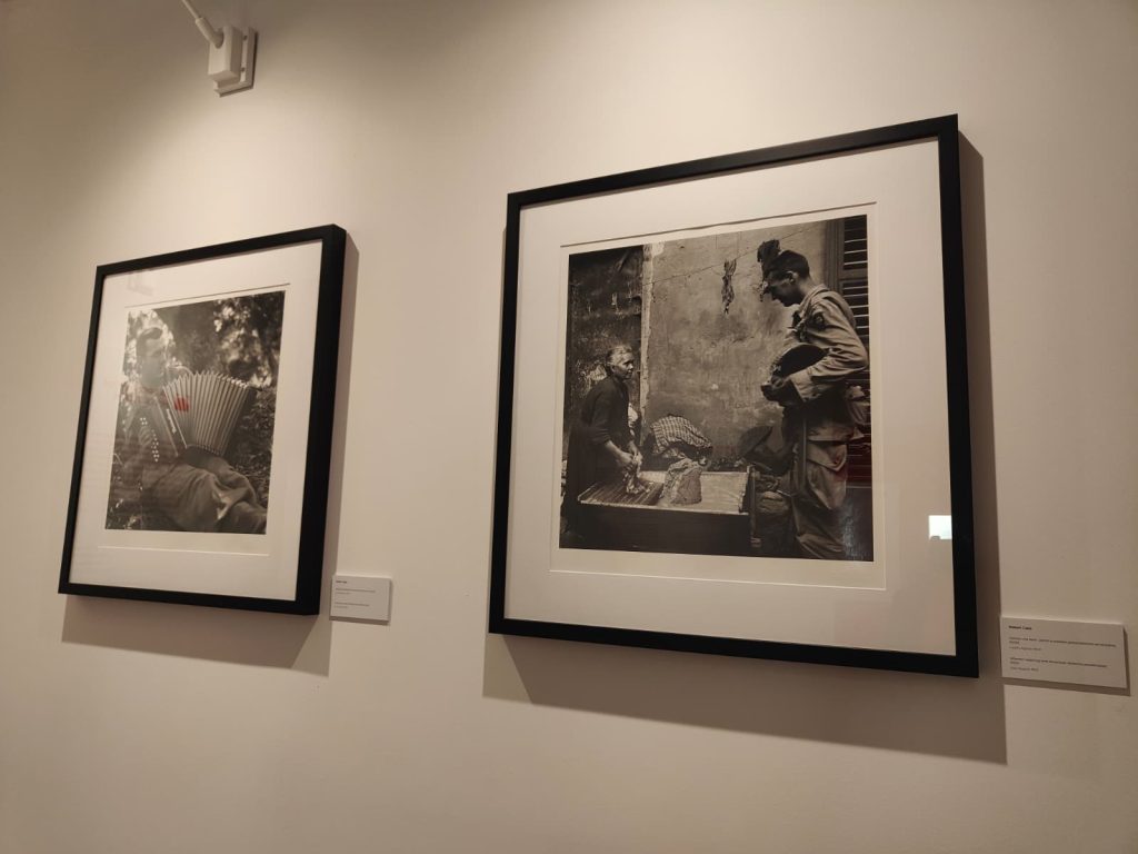 Alla scoperta di Troina con la Rete dei Musei Civici ANCI Sicilia: tra Capa, Tiziano, passato e futuro 17 Alla scoperta di Troina con la Rete dei Musei Civici ANCI Sicilia: tra Capa, Tiziano, passato e futuro - Be Sicily Mag - IMG 20251118 WA0026