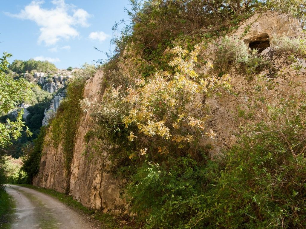 Necropoli di Pantalica: il posto in cui la Sicilia ti ricorda quanto è antica - Be Sicily Mag - 3