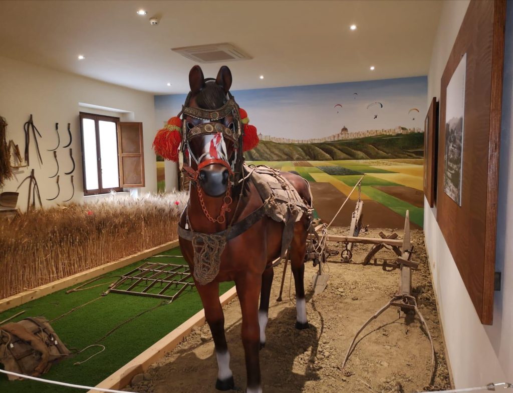 Alla scoperta di Niscemi con la Rete dei Musei ANCI Sicilia: memoria collettiva tra civiltà contadina e natura - Be Sicily Mag - cavallo museo niscemi