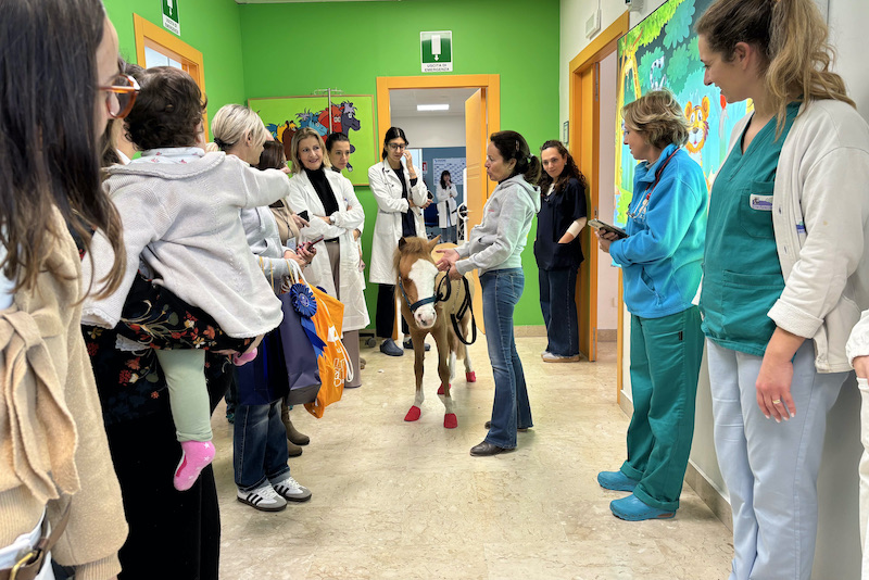 Natale solidale nei reparti pediatrici di Palermo: dal pony Stitch a Babbo Natale 3 Natale solidale nei reparti pediatrici di Palermo: dal pony Stitch a Babbo Natale - Be Sicily Mag - image 14