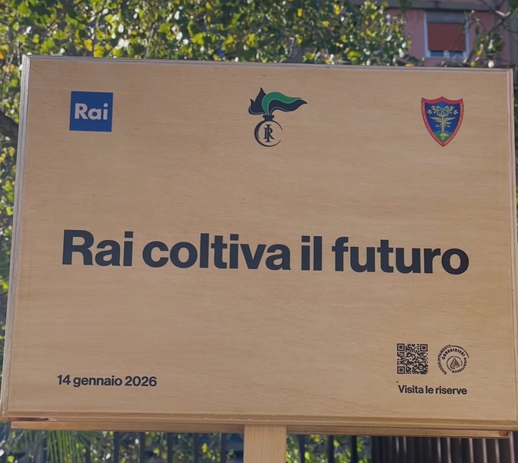 “Rai coltiva il futuro”: nella sede di Palermo dell'emittente 20 nuovi alberi per la città - Be Sicily Mag - IMG 4369