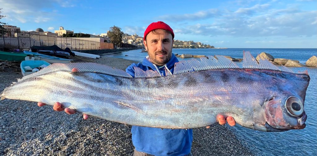 Un rarissimo pesce liocorno è stato ritrovato a Milazzo, sarà esposto al Museo del Mare 2 Un rarissimo pesce liocorno è stato ritrovato a Milazzo, sarà esposto al Museo del Mare - Be Sicily Mag - Isrga