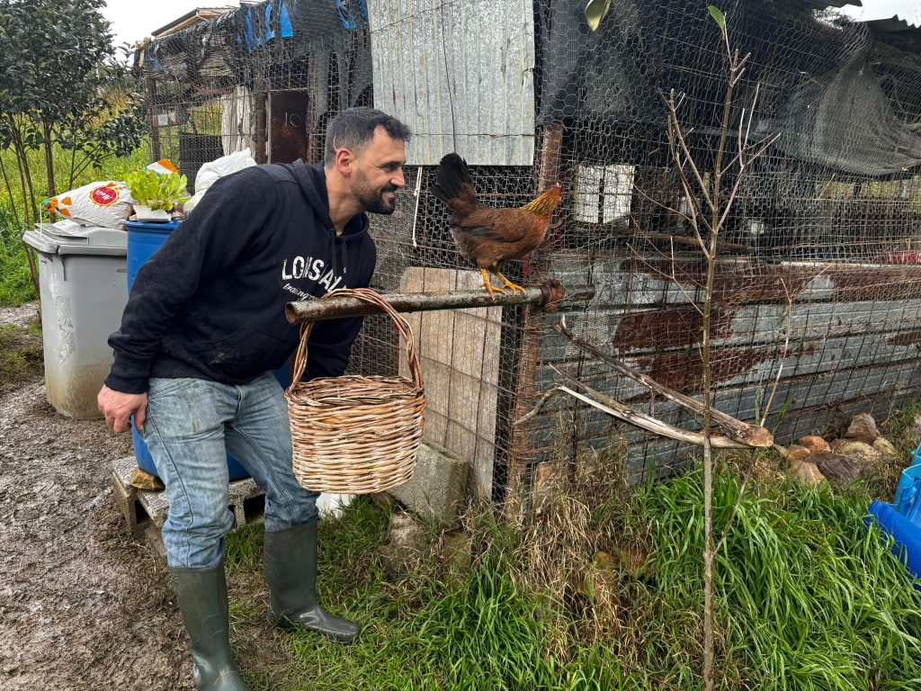 La nuova vita della gallina Rosita: dalle strade di Palermo alla campagna felice 10 La nuova vita della gallina Rosita: dalle strade di Palermo alla campagna felice - Be Sicily Mag - rosita davide buttitta