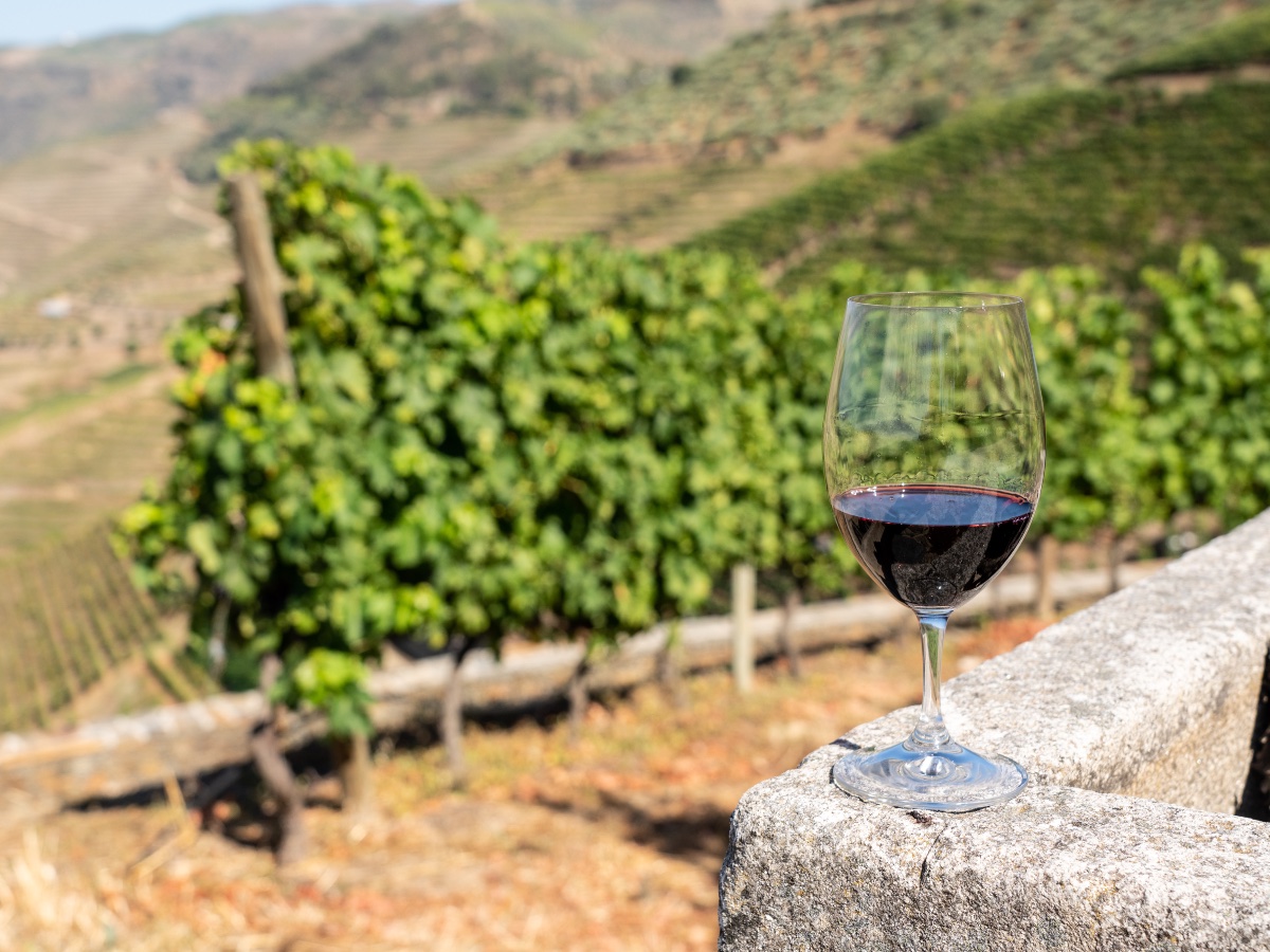 Sicilia en Primeur, verso l’edizione 2026: l’enoturismo asset strategico per lo sviluppo