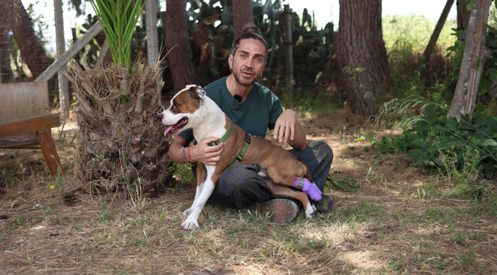 La pitbull Kim torna a correre grazie a una protesi 3D a Ragusa - Be Sicily Mag - Screenshot 2026 06 04 203419