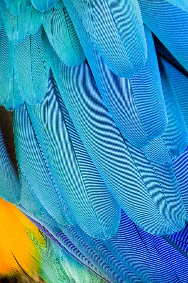 Azzurro Favignana: il colore dell’estate che fa respirare la mente 12 Azzurro Favignana: il colore dell’estate che fa respirare la mente - Be Sicily Mag - pexels maria jose fuentes 41703198 7328801