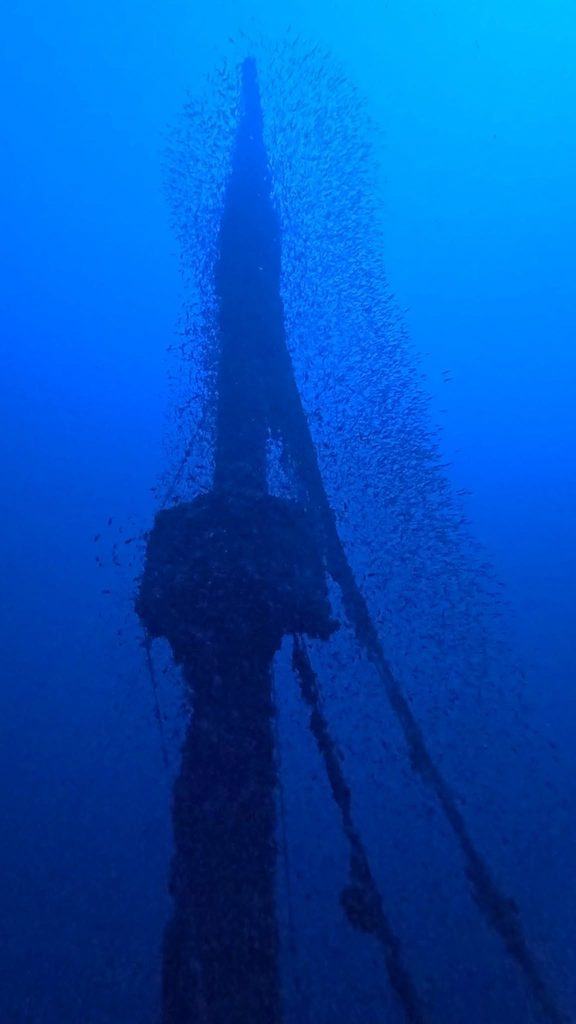 A 120 metri di profondità riemerge il Minnetonka, il relitto del transatlantico affondato nella Prima guerra mondiale 2 A 120 metri di profondità riemerge il Minnetonka, il relitto del transatlantico affondato nella Prima guerra mondiale - Be Sicily Mag - relitto